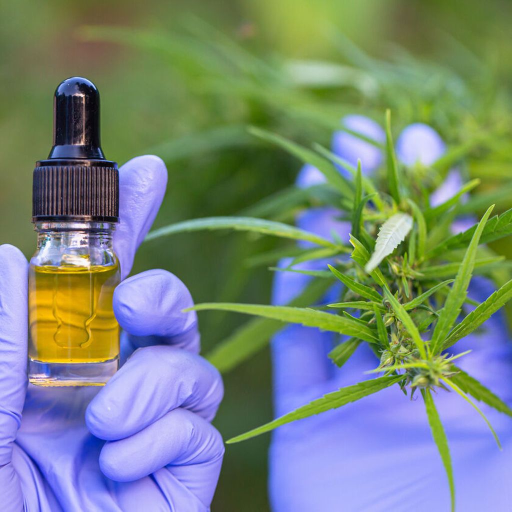 Therapierefraktärer Schmerz: Cannabinoide Als Option - Allgemeinmedizin ...